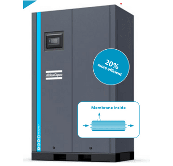 NGM+ 49